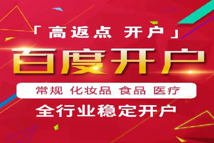 谷歌竞价广告的投放策略与成功案例分析